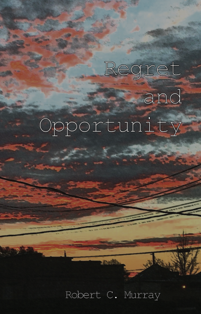 Cover for 'Regret and Opportunity'